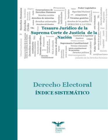 DerElectoral.pdf