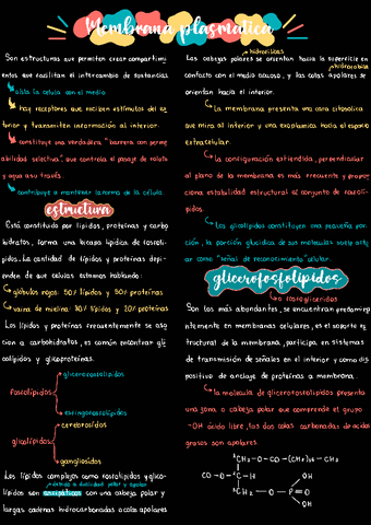 Membrana-plasmatica.pdf
