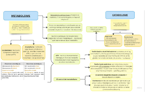 esquemes-catabolsime-1.pdf
