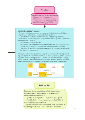 esquemes-catabolsime-2.pdf