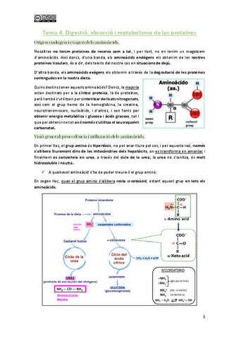 Tema-4-Digestio-absorcio-i-metabolisme-de-les-proteines.pdf