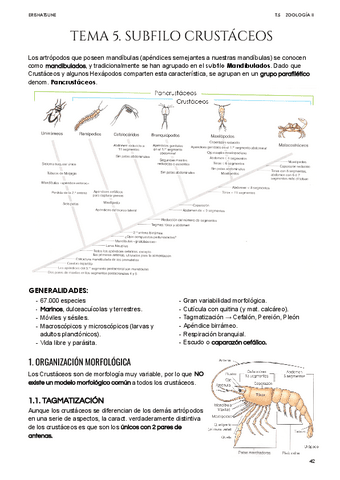Tema-5-Crustaceos.pdf