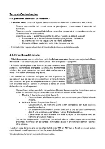 T4-Control-motor.pdf