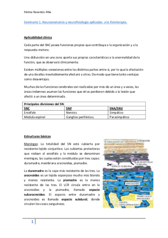 Seminario 1 neuroanatomia y neuroplasticidad.pdf