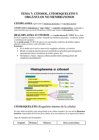 2RESUMEN-SELECTIVO2.pdf