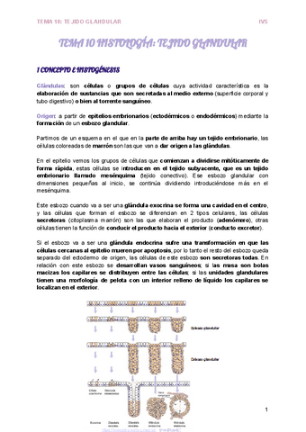 TEMA-10-HISTOLOGIA-TEJIDO-GLANDULAR.pdf