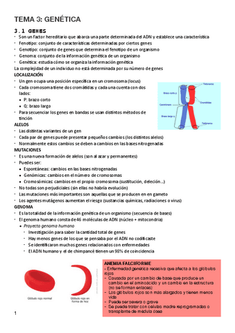 3.Genética.pdf