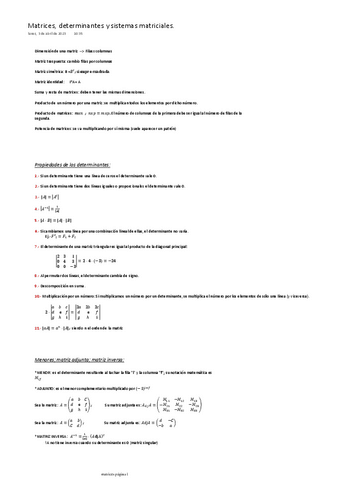 Matrices-determinantes-y-sistemas-matriciales.pdf