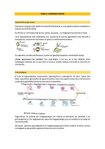 Tema-6 Botánica.pdf