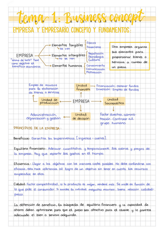 Business-concept-tema-1.pdf