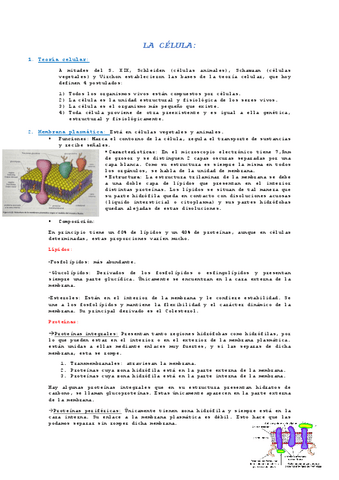 LA-CELULA.pdf
