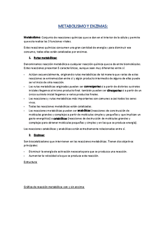 METABOLISMO-Y-ENZIMAS.pdf