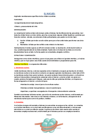 EL-NUCLEO.pdf