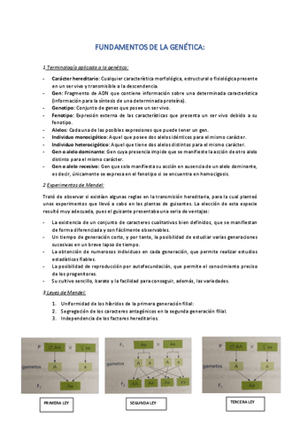 FUNDAMENTOS-DE-LA-GENETICA.pdf