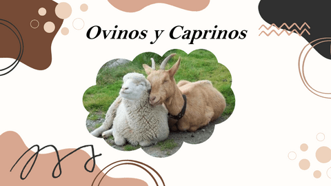 Ovinos-y-Caprinosgeneralidades.pdf