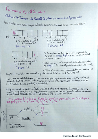 Terminos-de-Russell-SaundersMARK.pdf