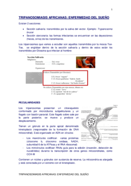 Miniatura del documento TRYPANOSOMA AFRICANUS.pdf