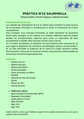 PRÁCTICA DE LABORATORIO DE SALMONELLA.pdf