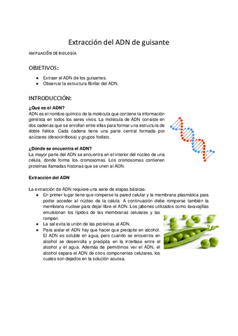 Desnaturalizacion-del-ADN.pdf