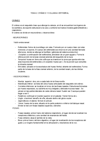 ANATOMIA-2.pdf