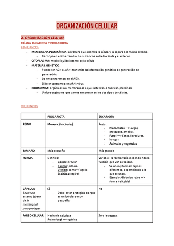 Organización celular.pdf