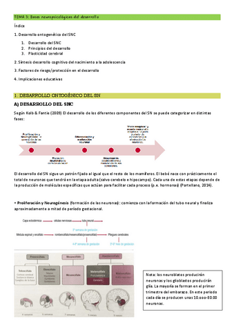 T3-NEC-ESP.pdf