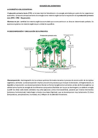 Ecologia-del-ecosistema.pdf