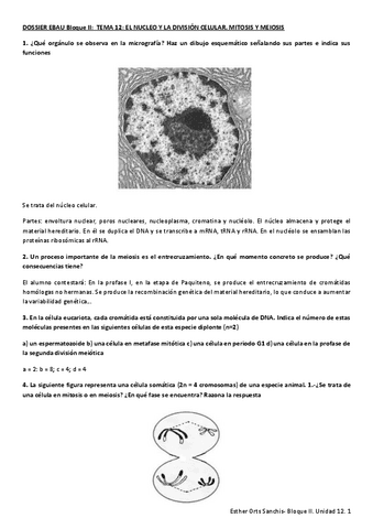DOSSIER-EBAU-BLOQUE-2-TEMA-12SOL.pdf