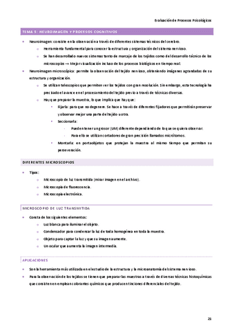 Tema-5-Mercedes-Utrilla.pdf