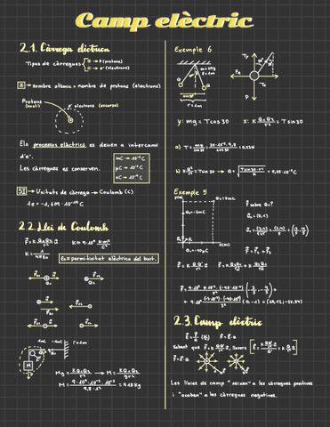 Camp-Electric.pdf