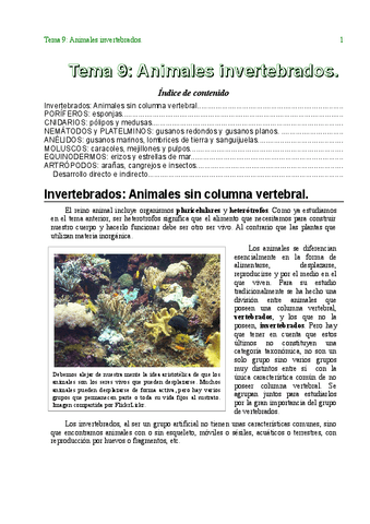 Tema09Invertebrados.pdf
