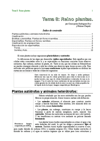 Tema08ReinoplantasTXT.pdf
