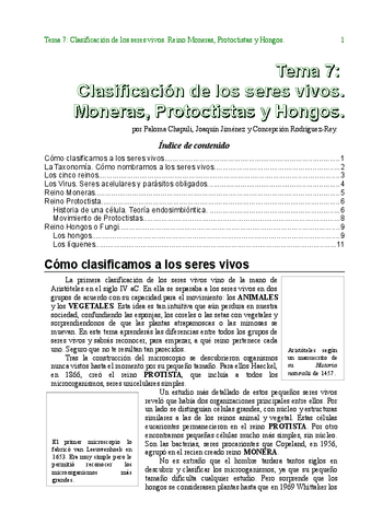 Tema07ClasificacionSSVVTXT.pdf