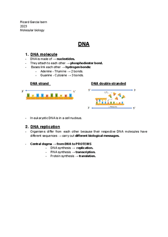 Molecular biology FINAL notes.pdf