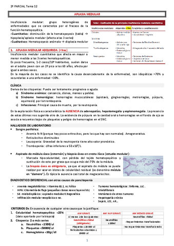 APLASIA-MEDULAR.pdf