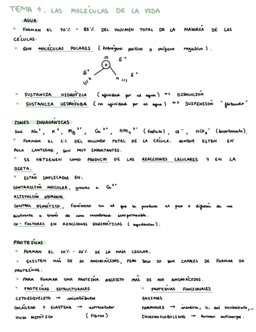 Apuntes-Psicobiologia-T.1-8.pdf