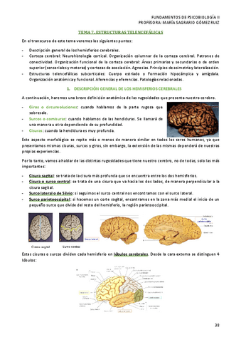 TEMA-7-PSICOBIOLOGIA-II.pdf