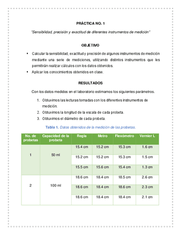 Informe-1.pdf