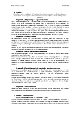 Practicas-Anatomia-Patologica.pdf
