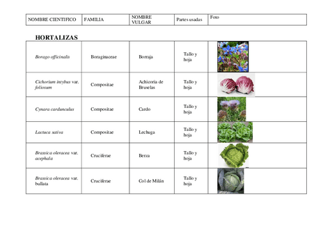 botanica-examen-nombres-y-fotos.pdf