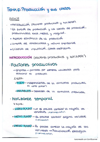 UNIDAD-6 PRODUCCIÓN Y SUS COSTES.pdf