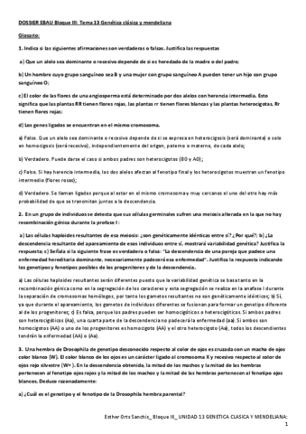 Dossier-ebau-bloque-3-UNIDAD-13PROF.pdf