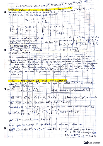 Ejercicios-Repaso-Matrices-y-Determinantes-Ebau-Navarra-y-Ext.pdf