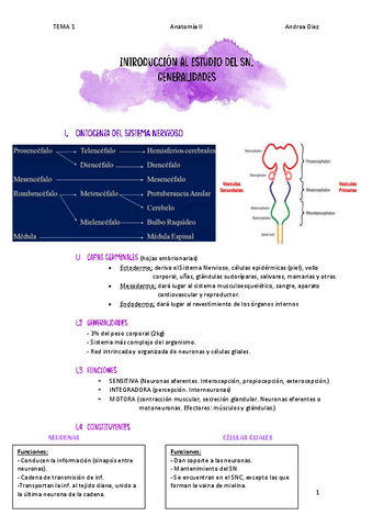 TEMA-1-GENERALIDADES-DEL-SN.pdf