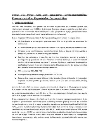 Tema 19 micro.pdf