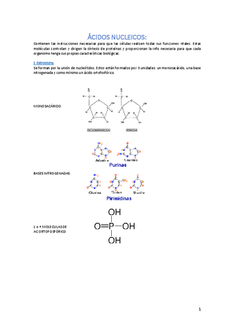 ACIDOS-NUCLEICOS.pdf