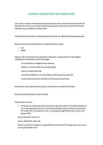 Examen-laboratorio.pdf