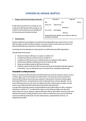 EXPRESION-DEL-MENSAJE-GENETICO.pdf