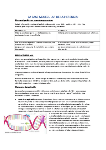 La-base-molecular-del-ADN.pdf