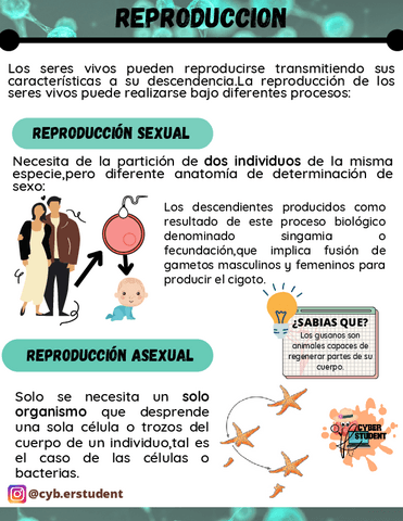 REPRODUCCION.pdf